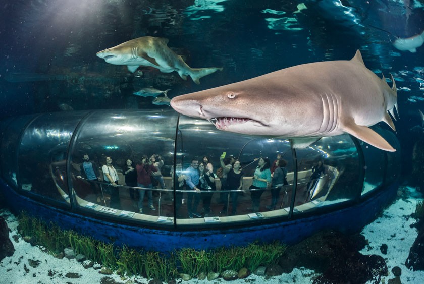 Barcelona Aquarium
